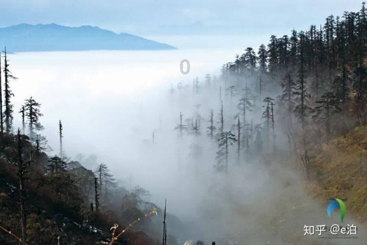 《甄嬛传》:四阿哥这么优秀,皇帝为什么不让后宫妃嫔抚养他