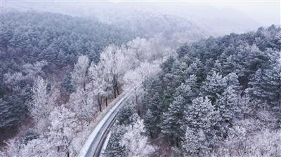 现在是不是怎么回答都不会有优质回答了?两天都没有成功过了!-专业的红迪网平台